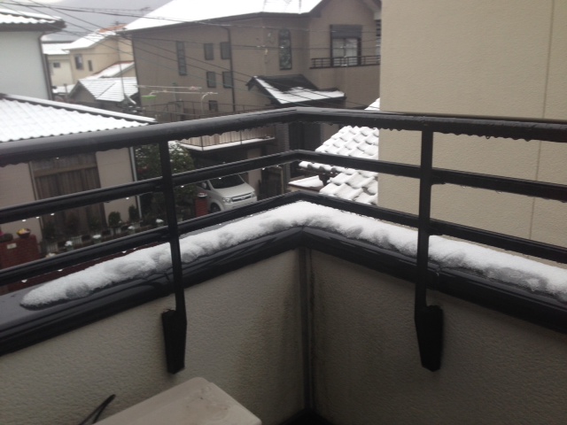 和歌山の雪