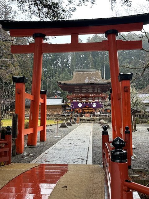 埼玉県から和歌山市の当院へ、見学にお越しくださいました